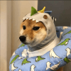 536590
