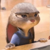 537274