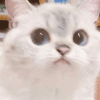 573882