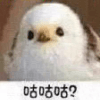 581117