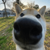588105