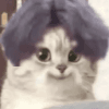 593958
