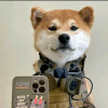 623199