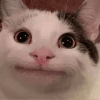 629068