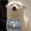 632060
