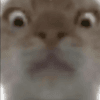 637258