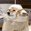 665904