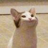 680617