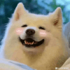 689503