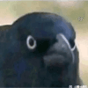 698657