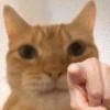 725293