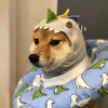 778859