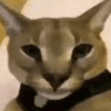 816162