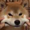 831409