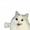 843895