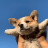 878814