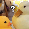 882904