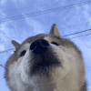 902073