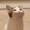 990017